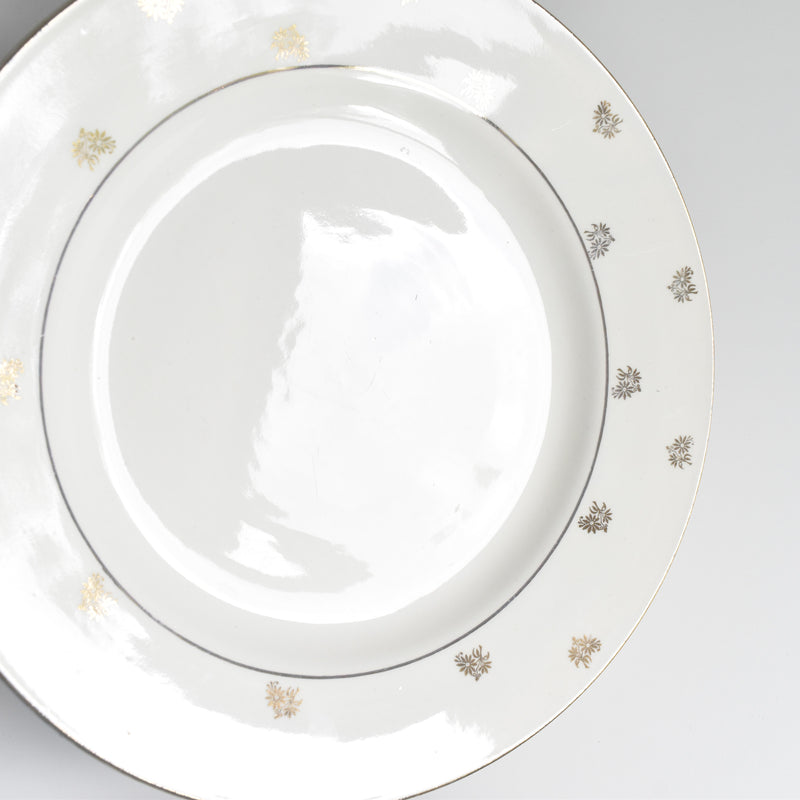 Vintage Plate Digoin & Sarreguemines Nico F