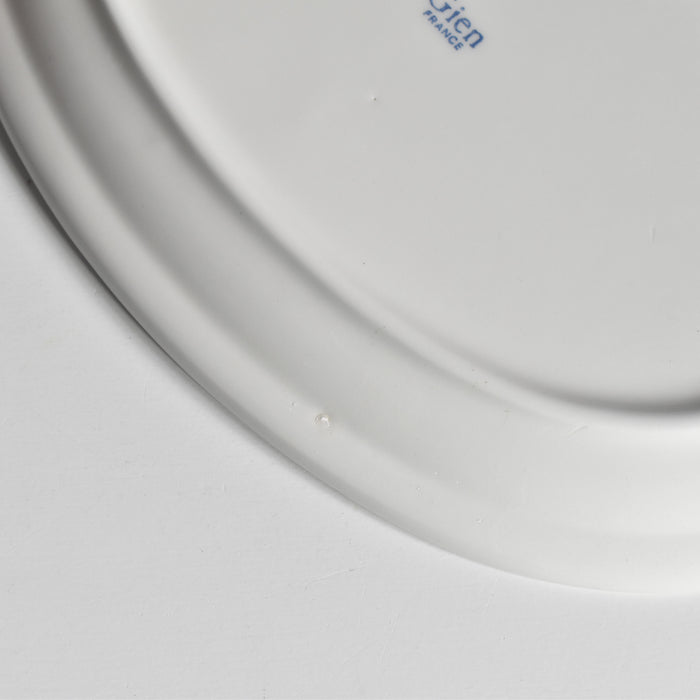 ヴィンテージオーヴァルプレート ジアン Les crudités（生野菜） les carottes(ニンジン）