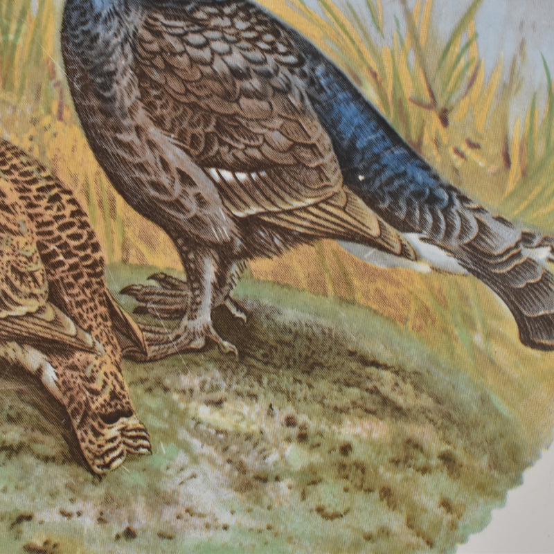 Vintage plate, Longchamp, Gibier Gourse (Grouse) B
