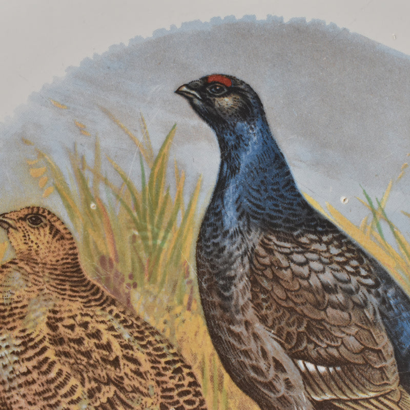 Vintage plate, Longchamp, Gibier Gourse (Grouse) B