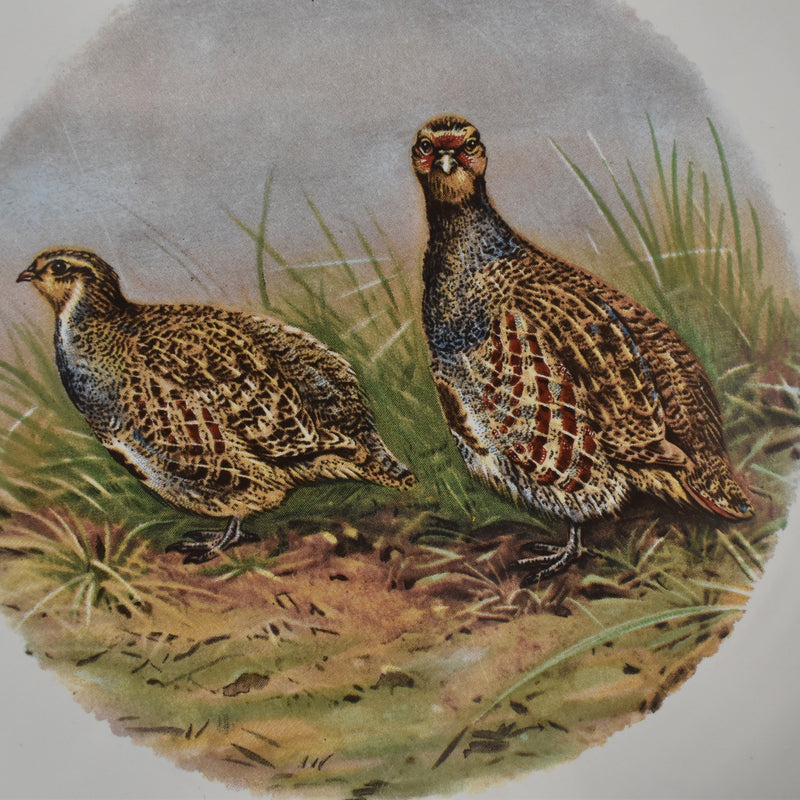Vintage Plate Longchamp Gibier Perdrix (Partridge) B