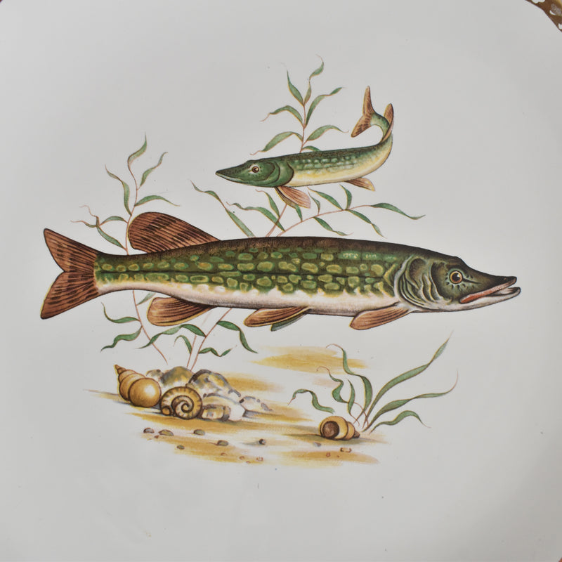 Vintage plate, Longchamp, Poisson Brochet (Pike)