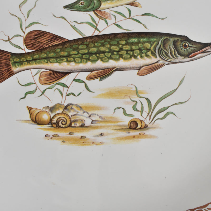 Vintage plate, Longchamp, Poisson Brochet (Pike)