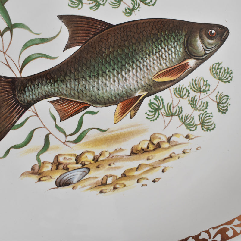 Vintage Plate: Longchamp Poisson Gardon (Roach)