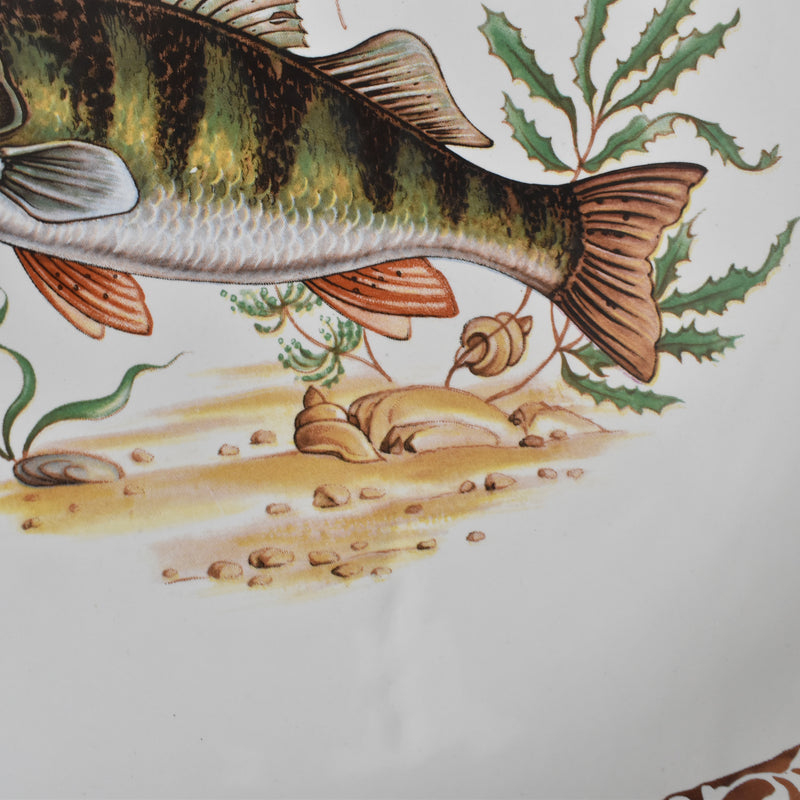 Vintage Plate Longchamp Poisson Perche (Perch)