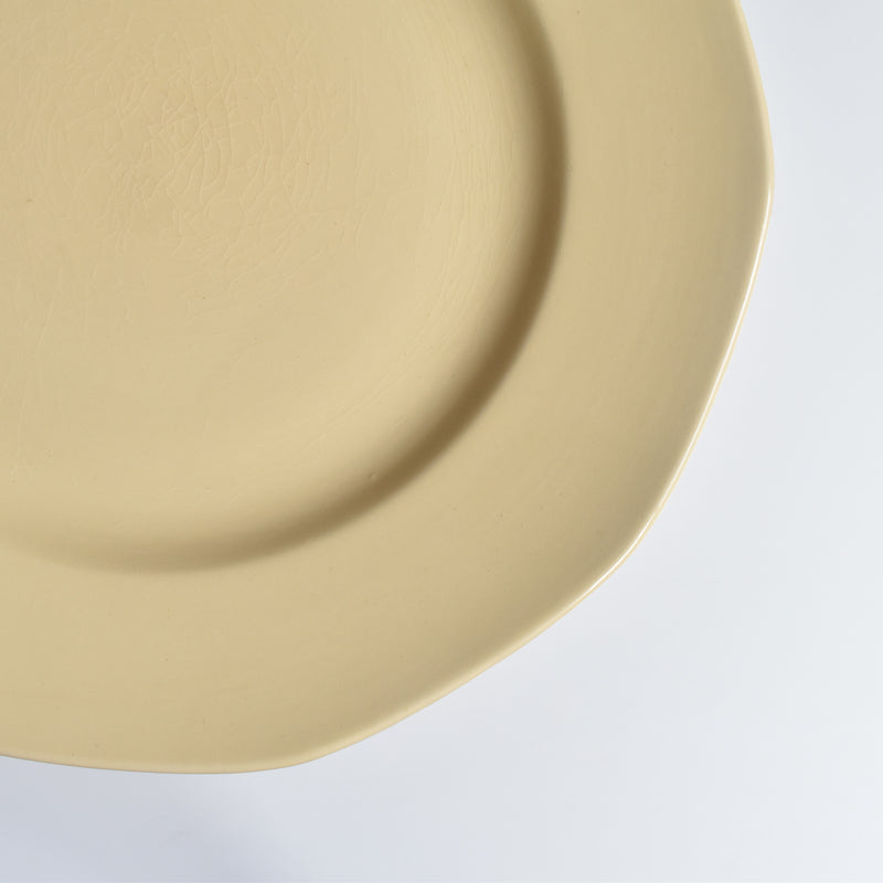 Vintage Plate Villeroy & Boch Mettlach B