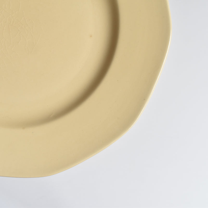Vintage Plate Villeroy & Boch Mettlach C