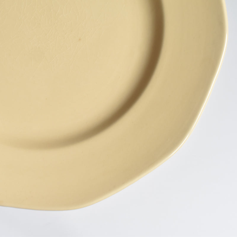 Vintage Plate Villeroy & Boch Mettlach D