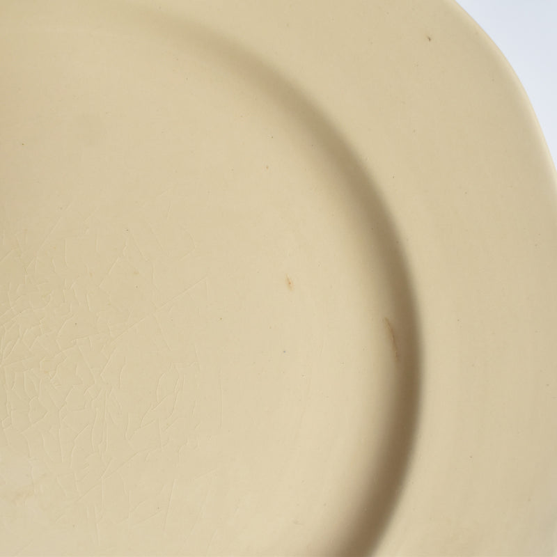 Vintage Plate Villeroy & Boch Mettlach D