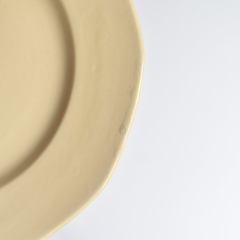 Vintage Plate Villeroy & Boch Mettlach D