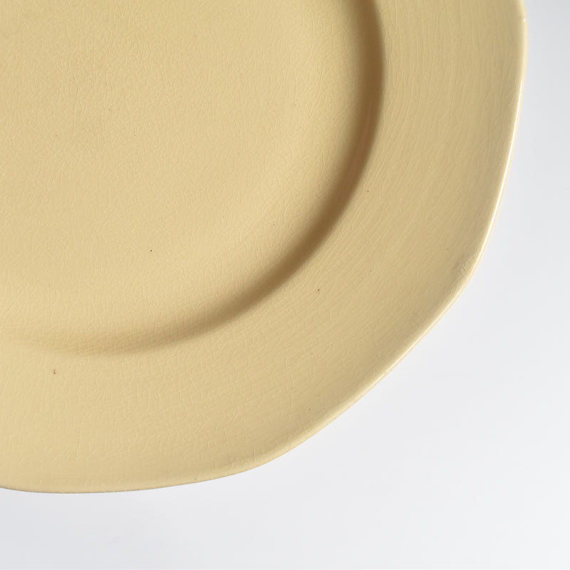 Vintage Plate Villeroy & Boch Mettlach E