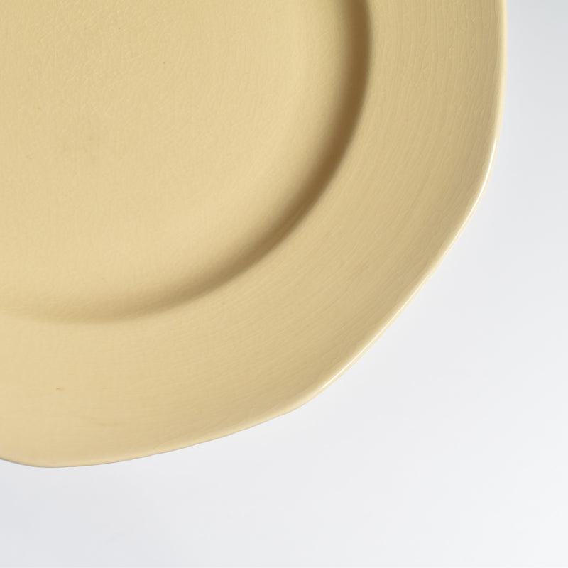 Vintage Plate Villeroy & Boch Mettlach E