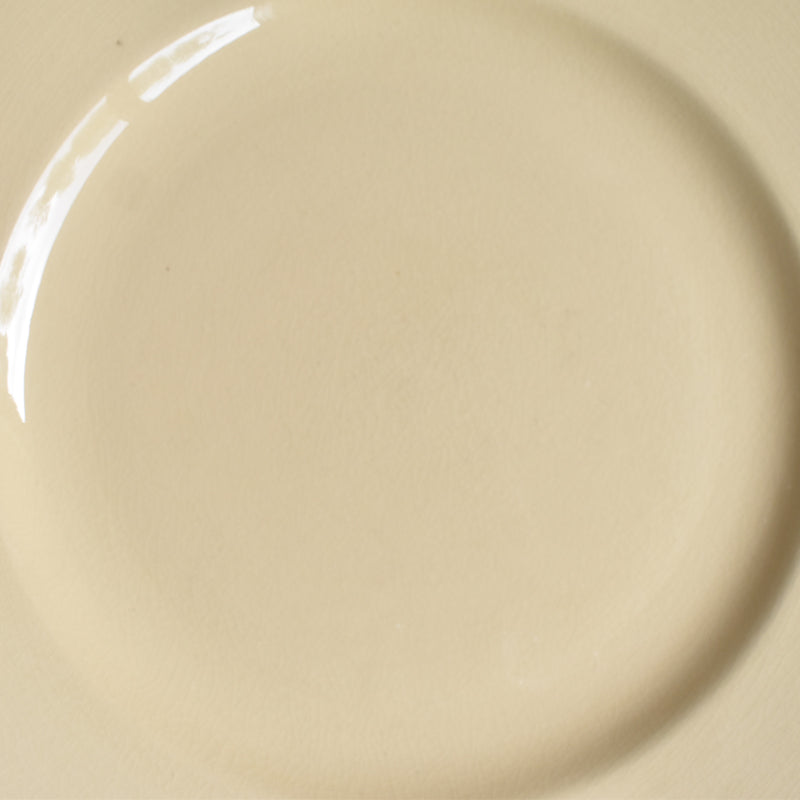 Vintage Plate Villeroy & Boch Mettlach E