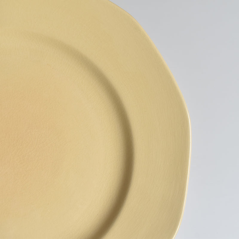 Vintage Plate Villeroy & Boch Mettlach F