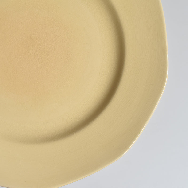 Vintage Plate Villeroy & Boch Mettlach F