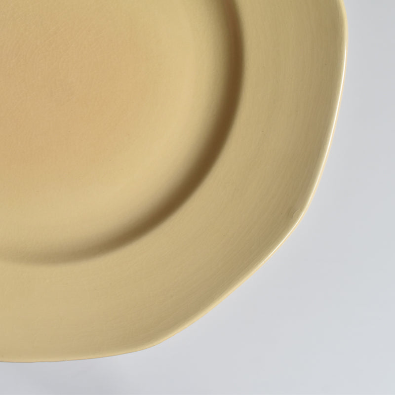 Vintage Plate Villeroy & Boch Mettlach F