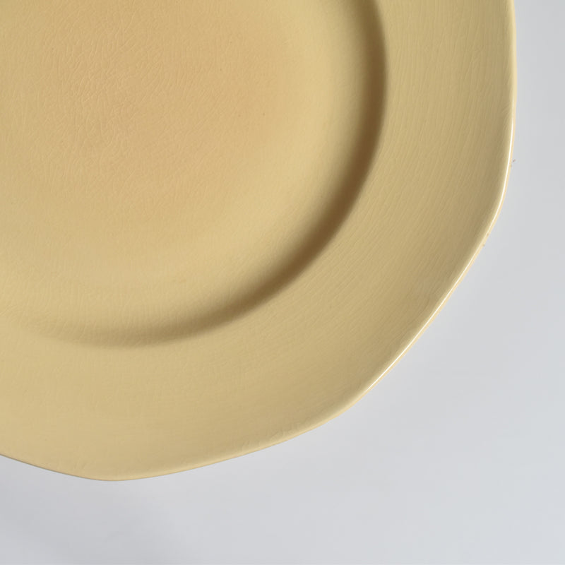 Vintage Plate Villeroy & Boch Mettlach F