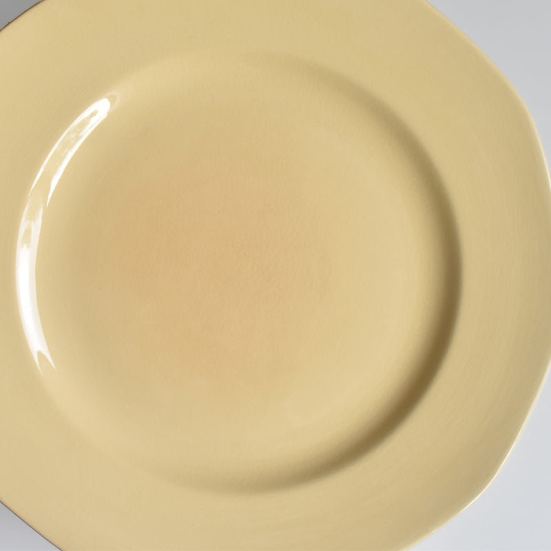 Vintage Plate Villeroy & Boch Mettlach F