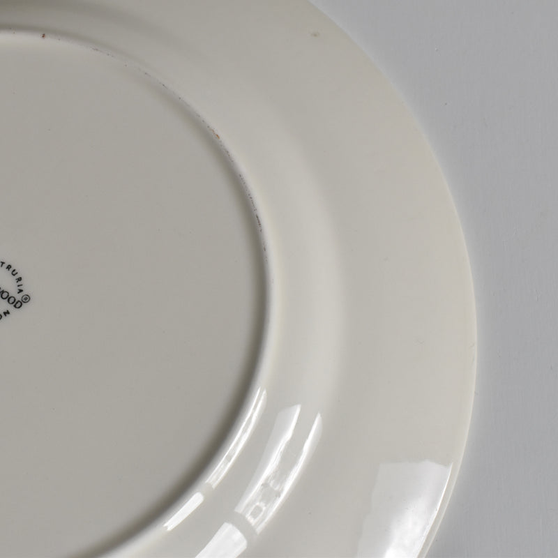 Vintage Wedgwood Edme Plate