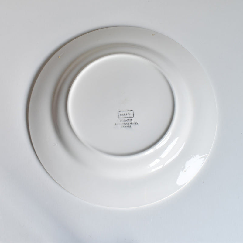 Vintage Plate: Digoin & Sarreguemines Cassel B