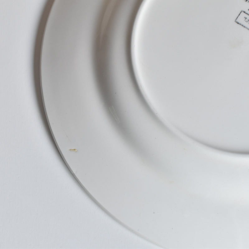 Vintage Plate: Digoin & Sarreguemines Cassel B