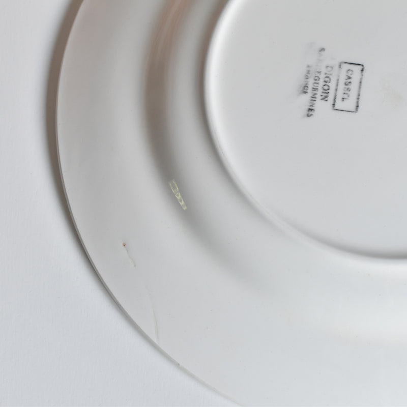 Vintage Plate: Digoin & Sarreguemines Cassel B