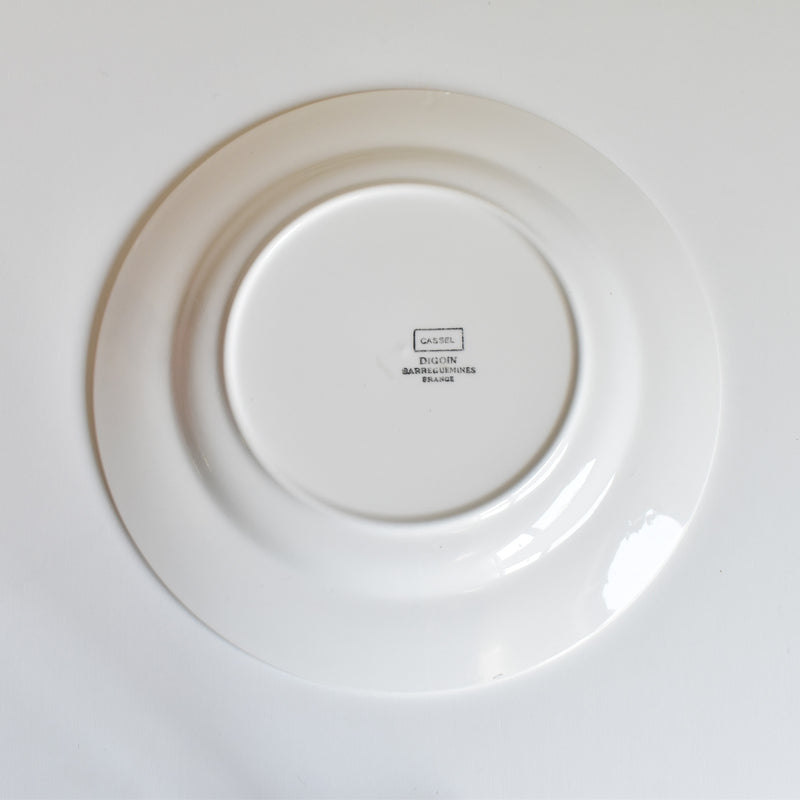 Vintage plate Digoin & Sarreguemines Cassel C