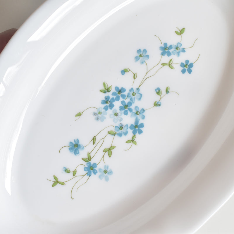 Vintage Luncheon Plate, Arcopal Myosotis (Forget-me-not) A