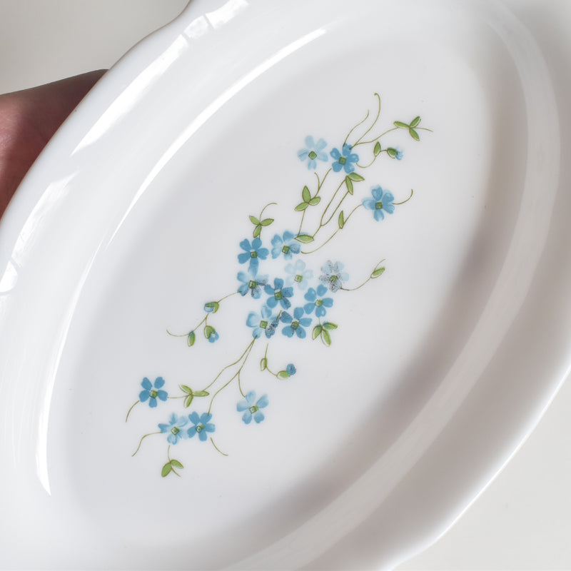 Vintage Arcopal Myosotis (Forget-Me-Not) Raviere B