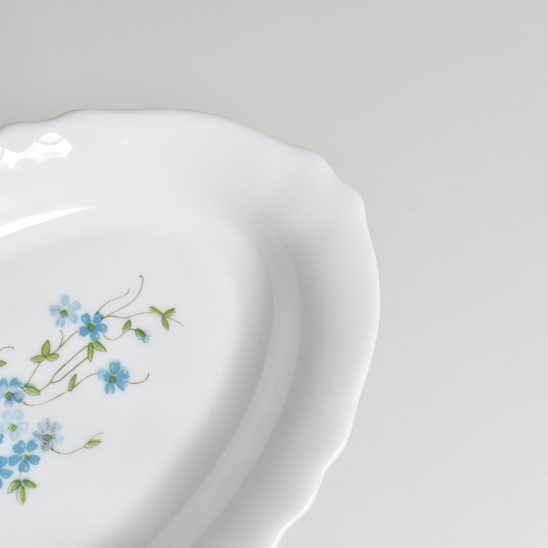 Vintage Arcopal Myosotis (Forget-Me-Not) Raviere B