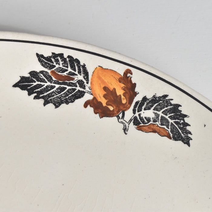 ヴィンテージラヴィエ ロンシャン　ENNEGE Noisette（ヘゼルナッツ）A