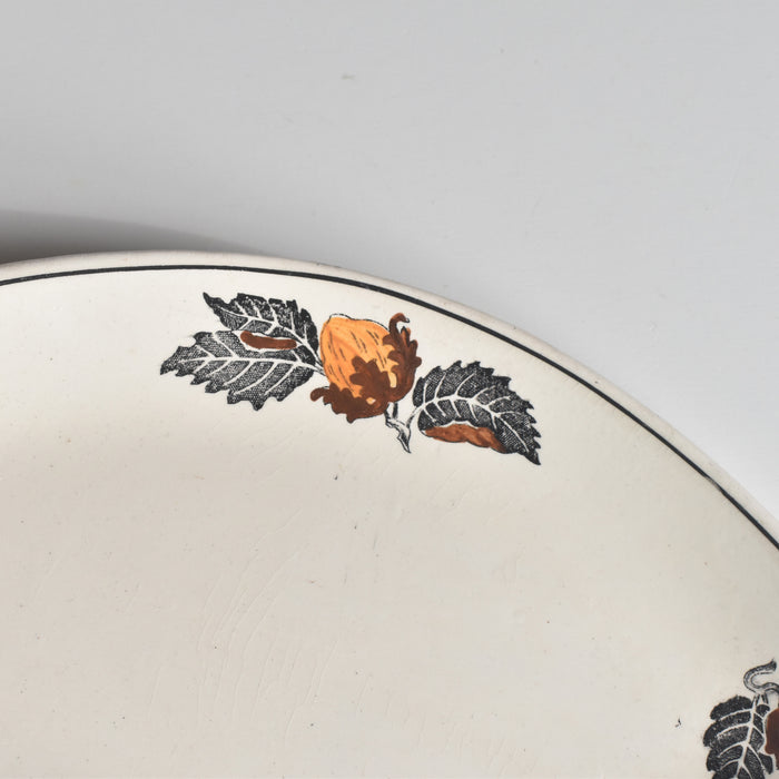 ヴィンテージラヴィエ ロンシャン　ENNEGE Noisette（ヘゼルナッツ）A