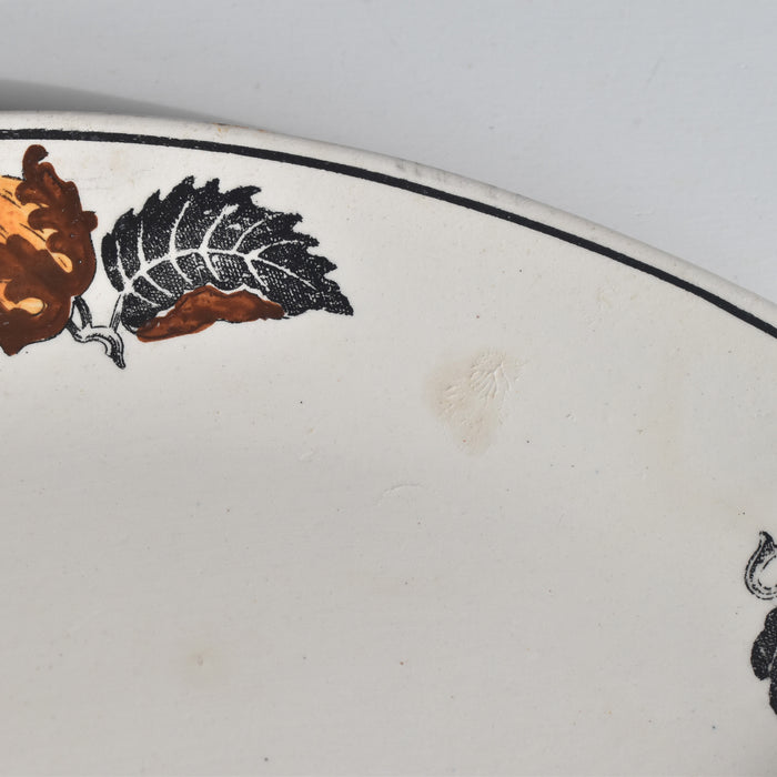 ヴィンテージラヴィエ ロンシャン　ENNEGE Noisette（ヘゼルナッツ）B