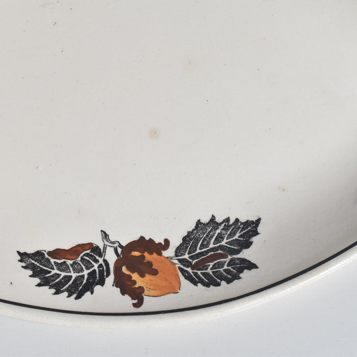 ヴィンテージラヴィエ ロンシャン　ENNEGE Noisette（ヘゼルナッツ）B