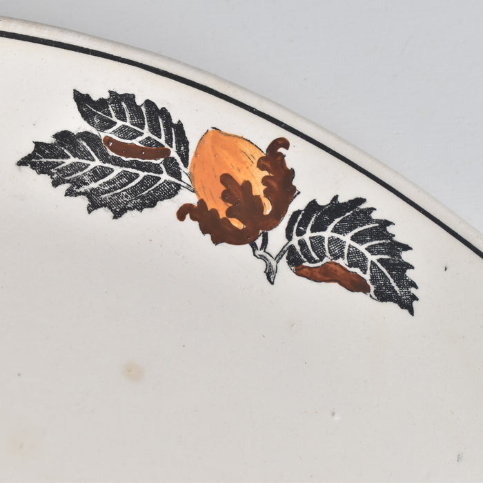 ヴィンテージラヴィエ ロンシャン　ENNEGE Noisette（ヘゼルナッツ）B