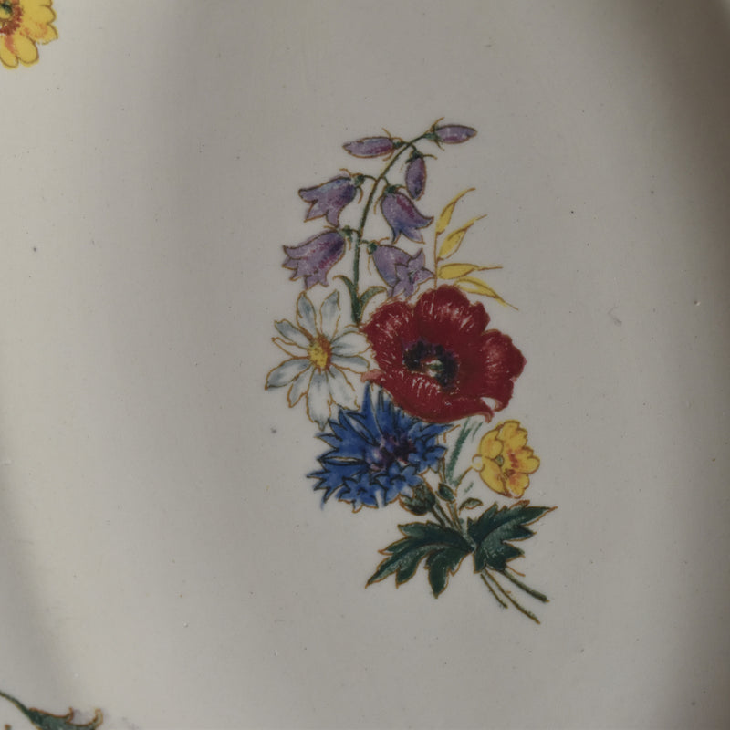 Vintage Raviers Digoin & Sarreguemines Agreste (Agreste) B