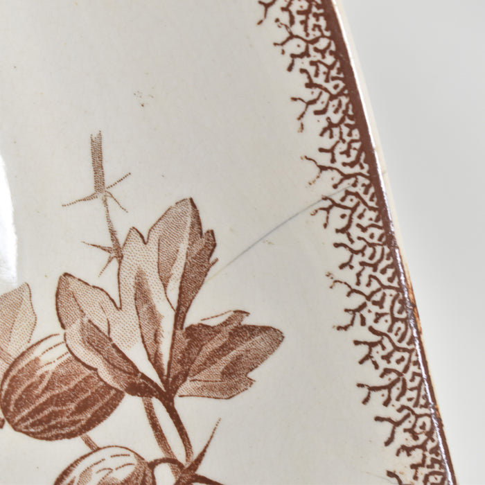 アンティークラヴィエ サルグミンヌ Groseilles (グロゼイユ)