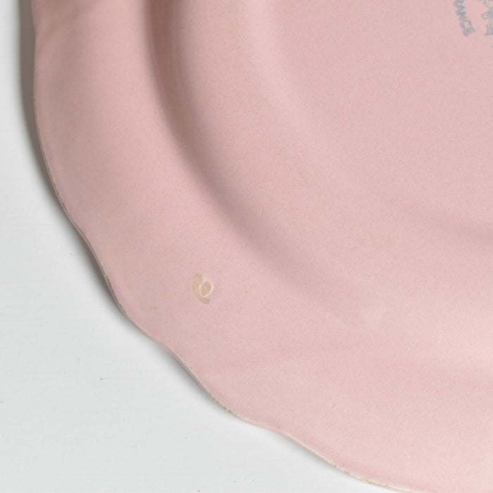 ヴィンテージプレート サラン 花リム ピンク D