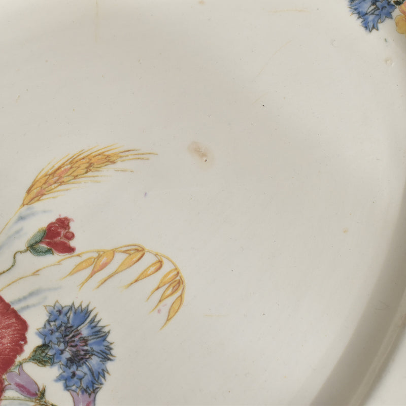 Vintage Oval Plate, Digoin & Sarreguemines, Agreste