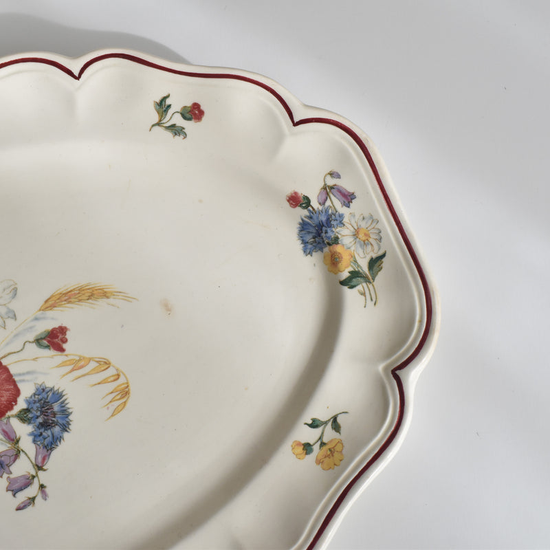 Vintage Oval Plate, Digoin & Sarreguemines, Agreste