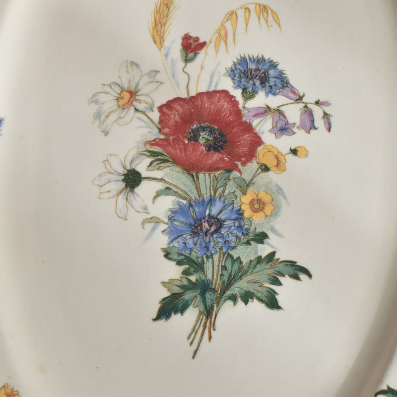 Vintage Oval Plate, Digoin & Sarreguemines, Agreste