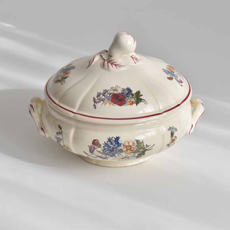 Vintage Small Soup Tureen (Vegetable Dish) Digoin & Sarreguemines Agreste