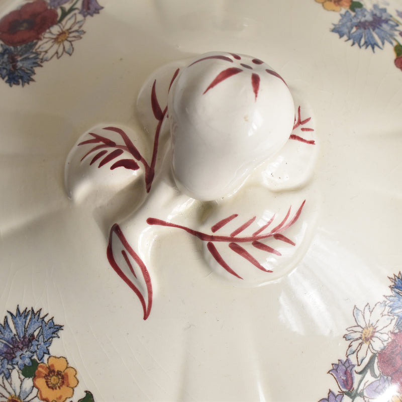 Vintage Small Soup Tureen (Vegetable Dish) Digoin & Sarreguemines Agreste
