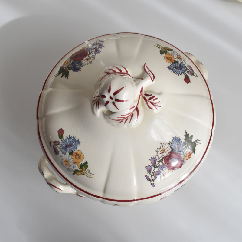 Vintage Small Soup Tureen (Vegetable Dish) Digoin & Sarreguemines Agreste