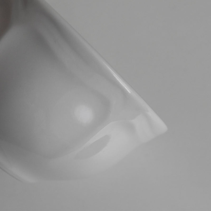 Vintage Digoin & Sarreguemines White Petal Rim Cup A