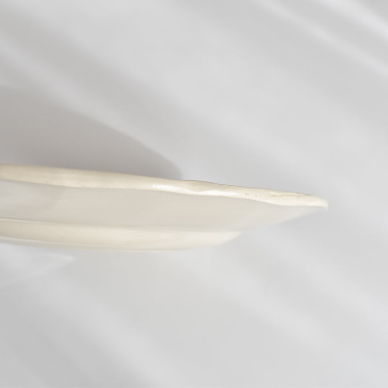 ヴィンテージプレート ディゴワン＆サルグミンヌ Trianon（トリアノン） D