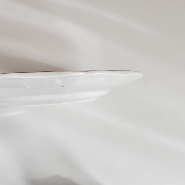 ヴィンテージプレート サルグミンヌ Windsor (ウィンザー） C