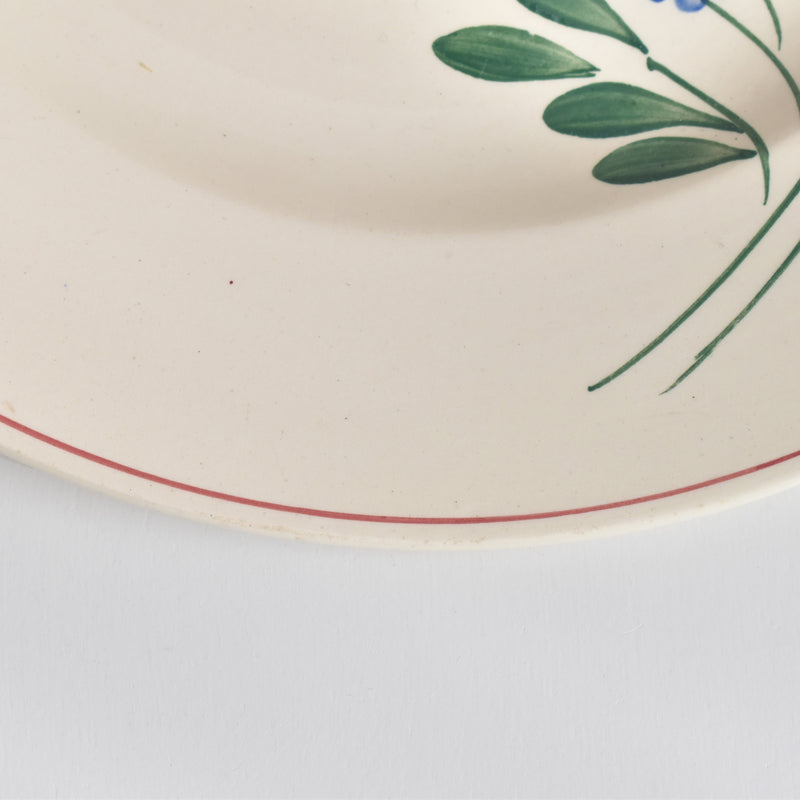 Vintage Large Plate, Digoin & Sarreguemines Aigueperse