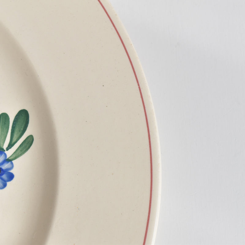 Vintage Large Plate, Digoin & Sarreguemines Aigueperse