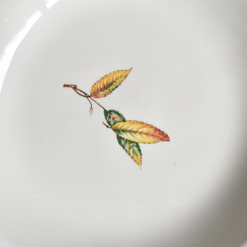 Vintage Deep Plate, Digoin & Sarreguemines, Nemours A